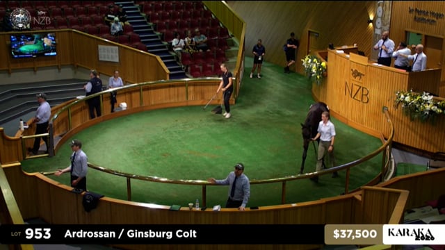 Karaka 2026: Summer Sale, Lots 953 - 961