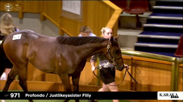 Karaka 2026: Summer Sale, Lots 971 - 977