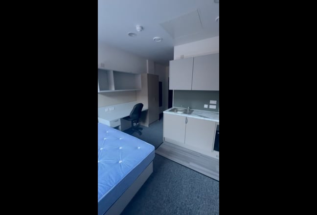 True student standard studio Main Photo