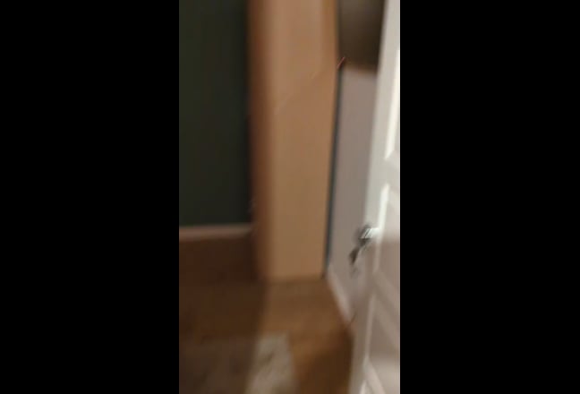 Housemate wanted  Main Photo