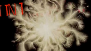 Vignette de la vidéo