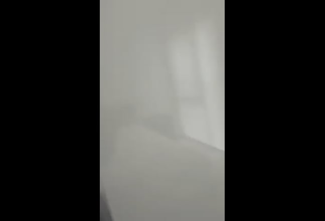 Female needed -  spacious 2 bedroom apartment Main Photo