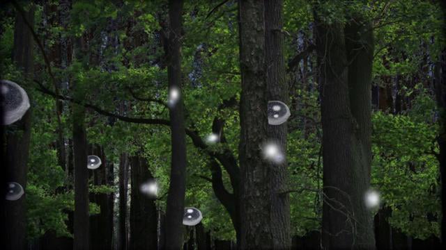 Hundreds - Wait For My Raccoon thumbnail