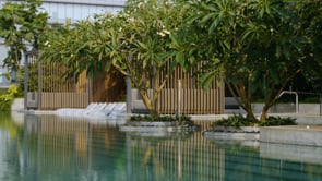 Related Embedded Video Item Thumbnail