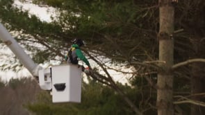 Related Embedded Video Item Thumbnail