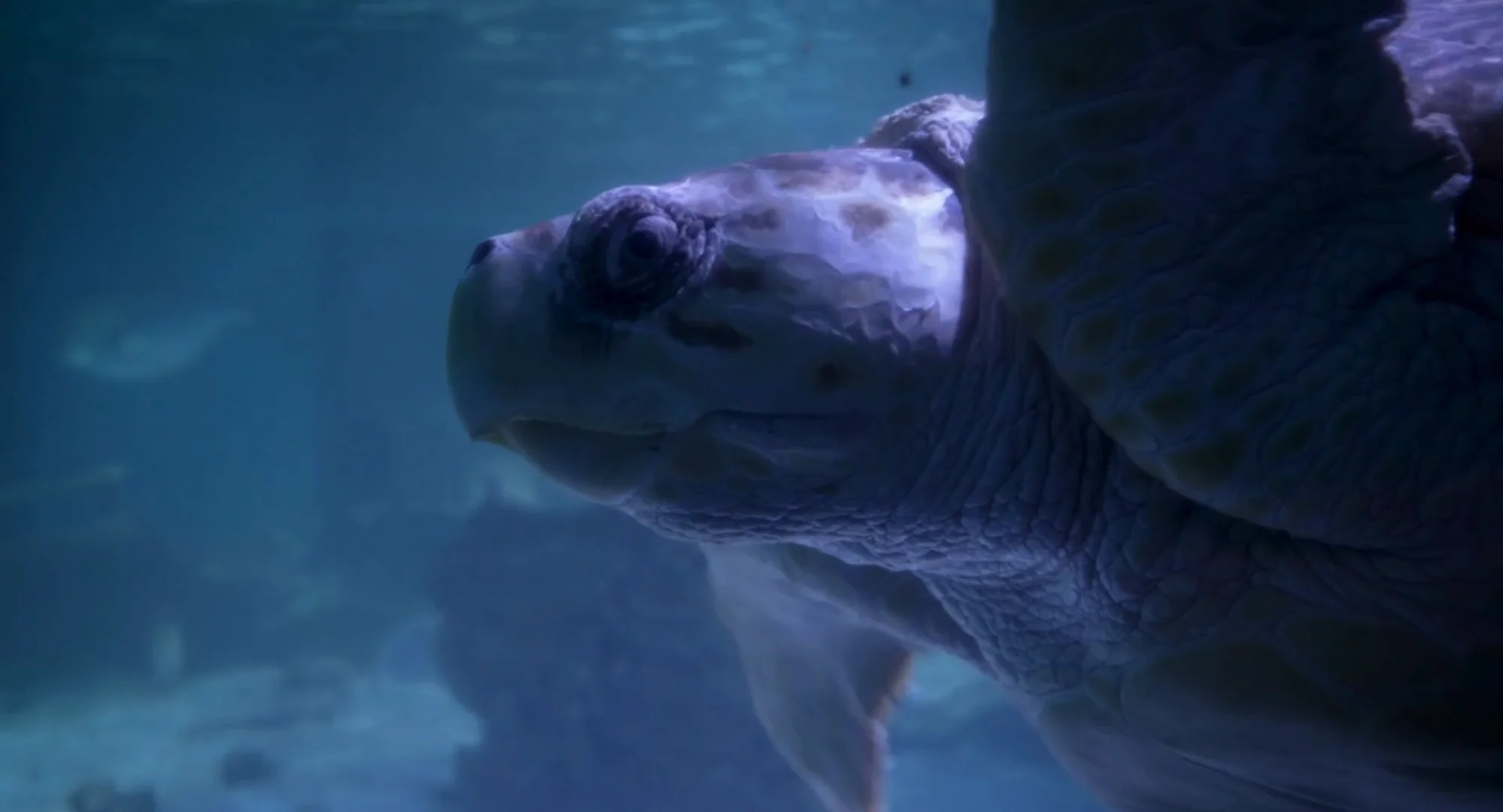 水族館　MARINETIME Maritime Aquarium | Norwalk, CT Aquarium