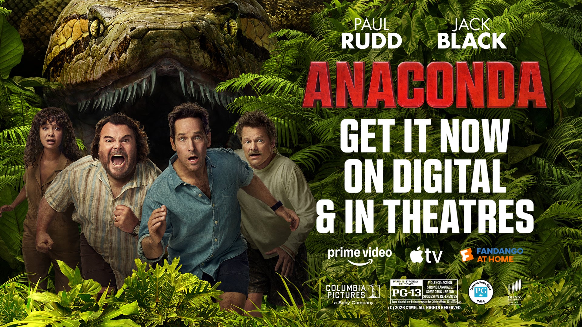 Anaconda