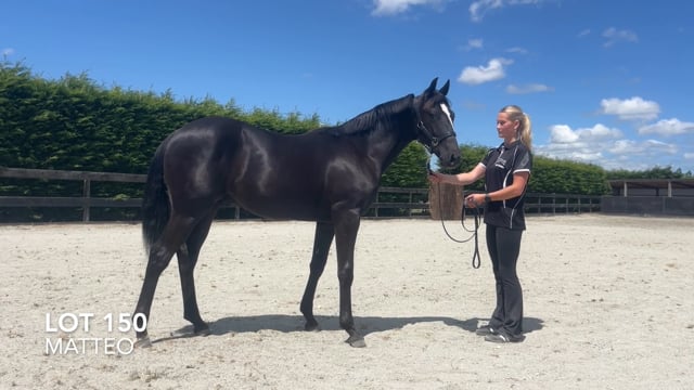 Lot 150