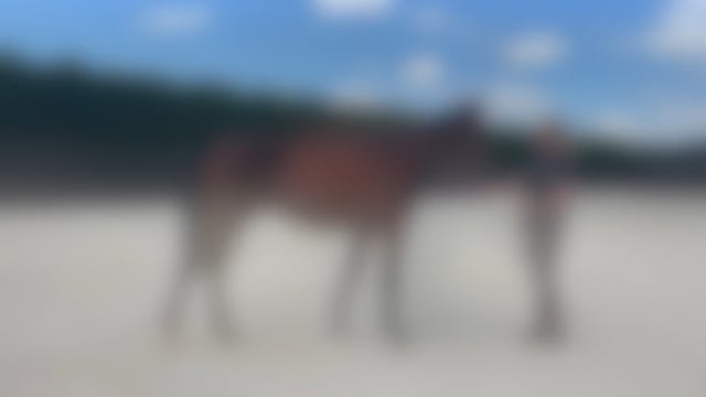 Lot 140