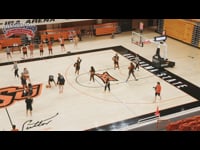 Preview Video #1