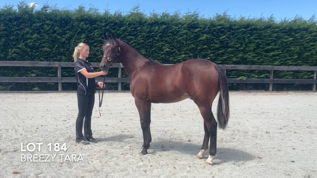Lot 184