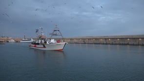 Dificultats per accedir als títols nauticopesquers, i l'autoregulació dels pescadors