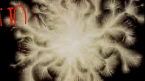 Vignette de la vidéo