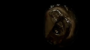 Vignette de la vidéo