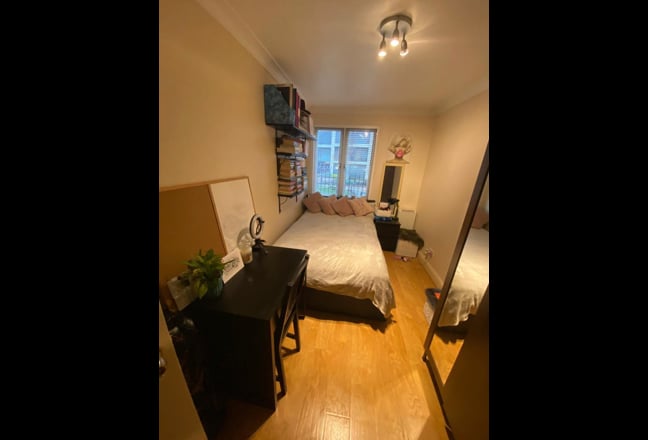 🌿 Modern E14 Double | Bills Inc | Female Only 👯‍ Main Photo