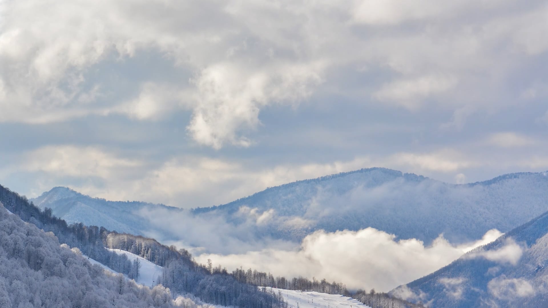 Winter Olympics Promo, Introducing Charlie Guest