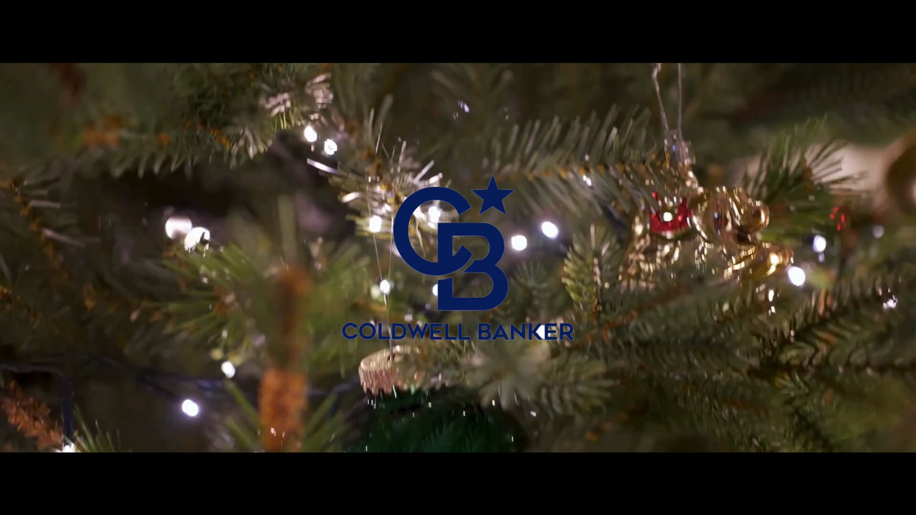 Featured Video Photo
