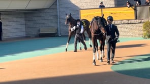 動画サムネイル