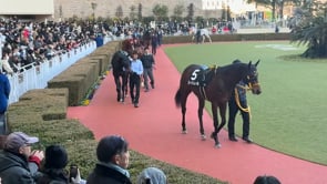 動画サムネイル