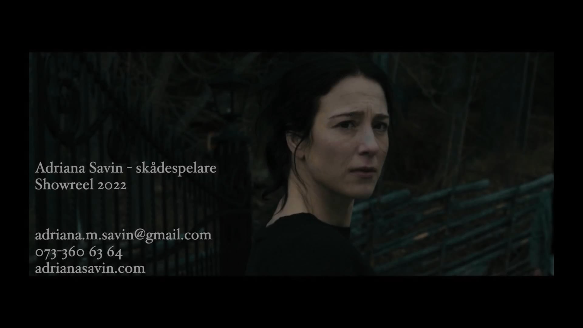 Showreel 2022-HD 1080p.mp4