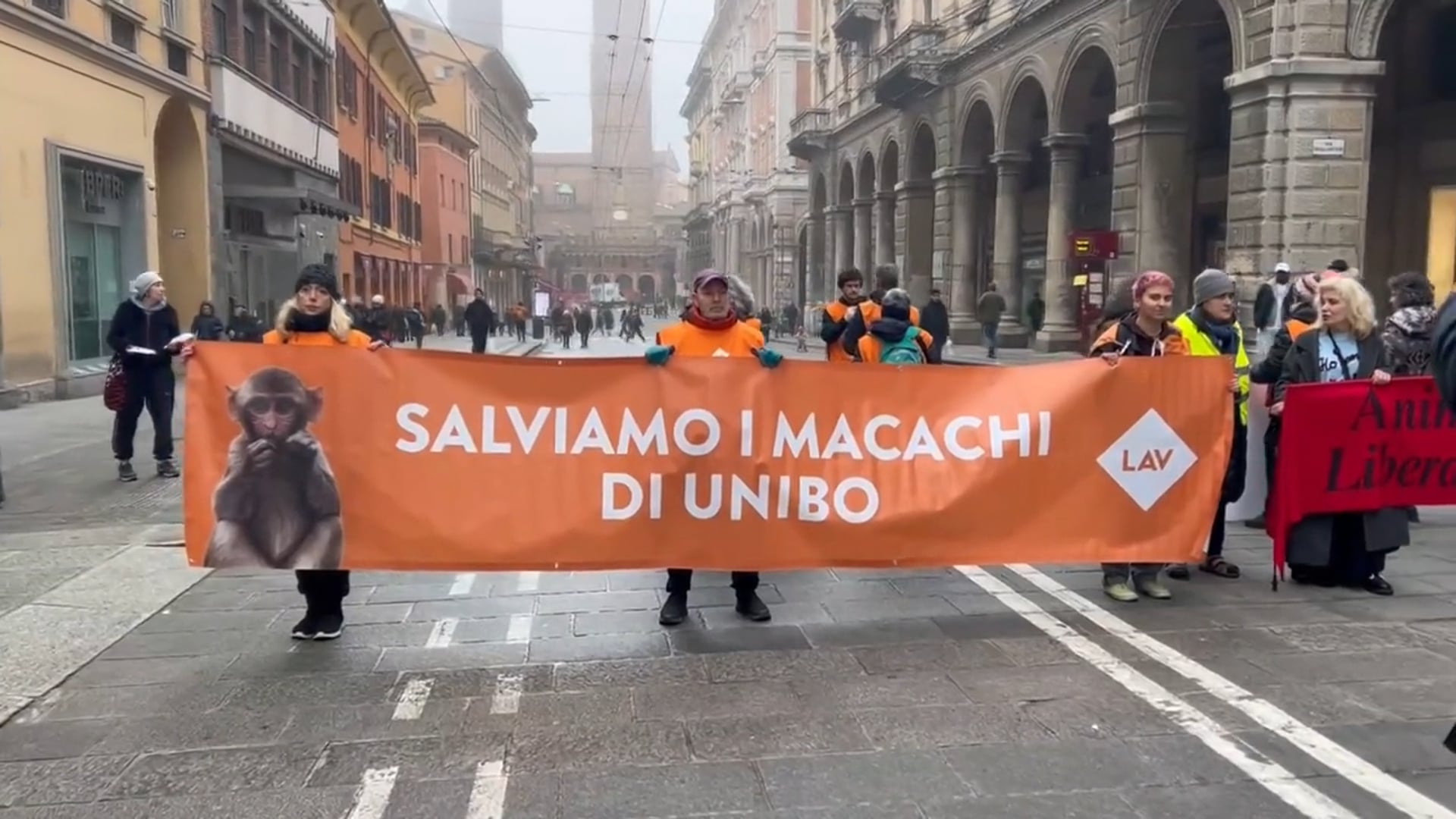 Un flash-mob per dire basta alle sperimentazioni sui macachi all’Unibo