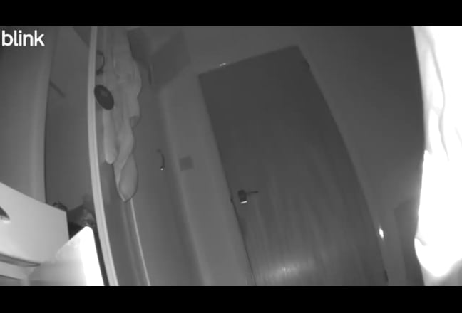 All the ladies‼️❗️ Main Photo