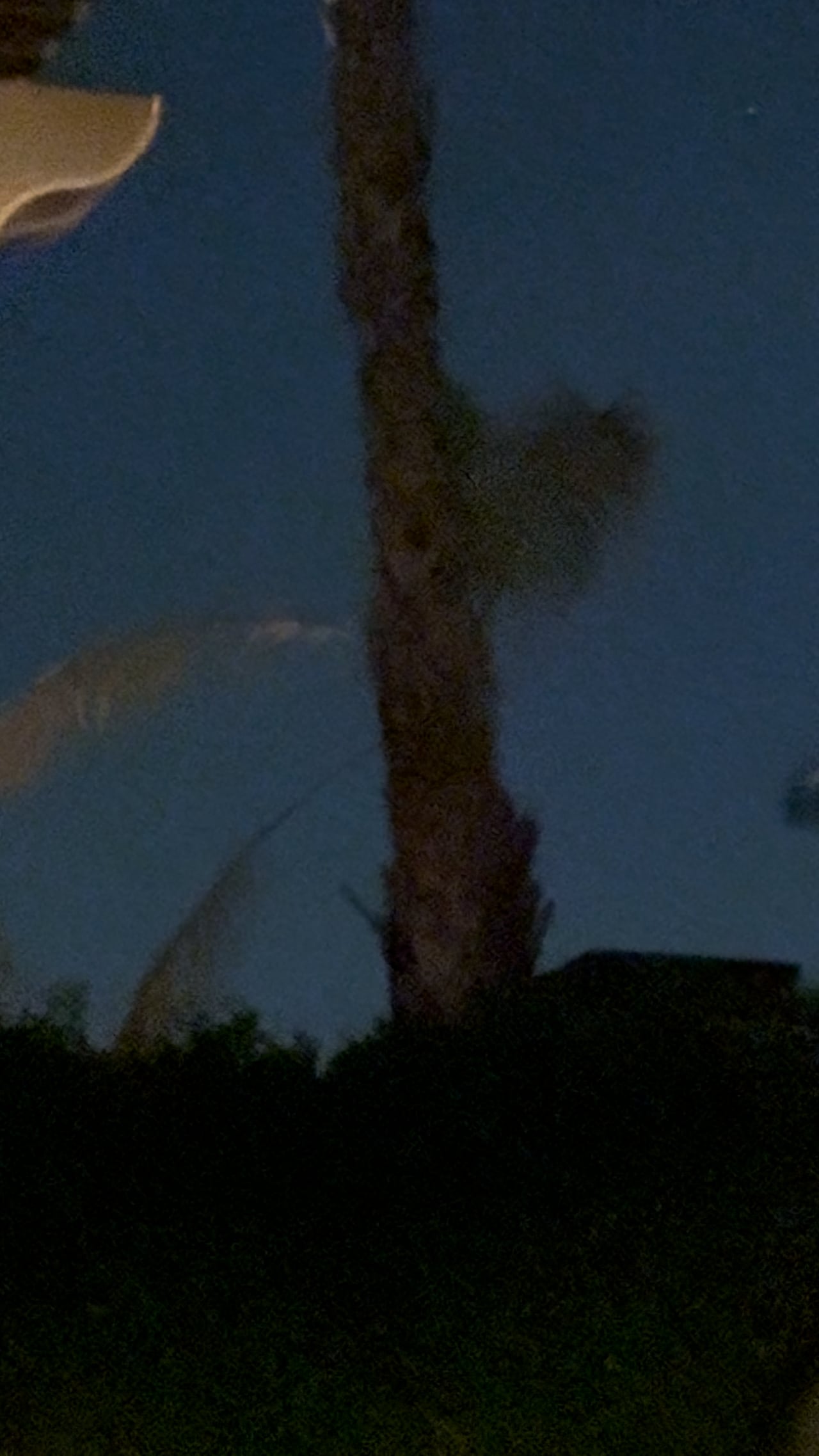 Preview of the original recording from La Quinta, California, April 17, 2025 · 10:11 p.m..
