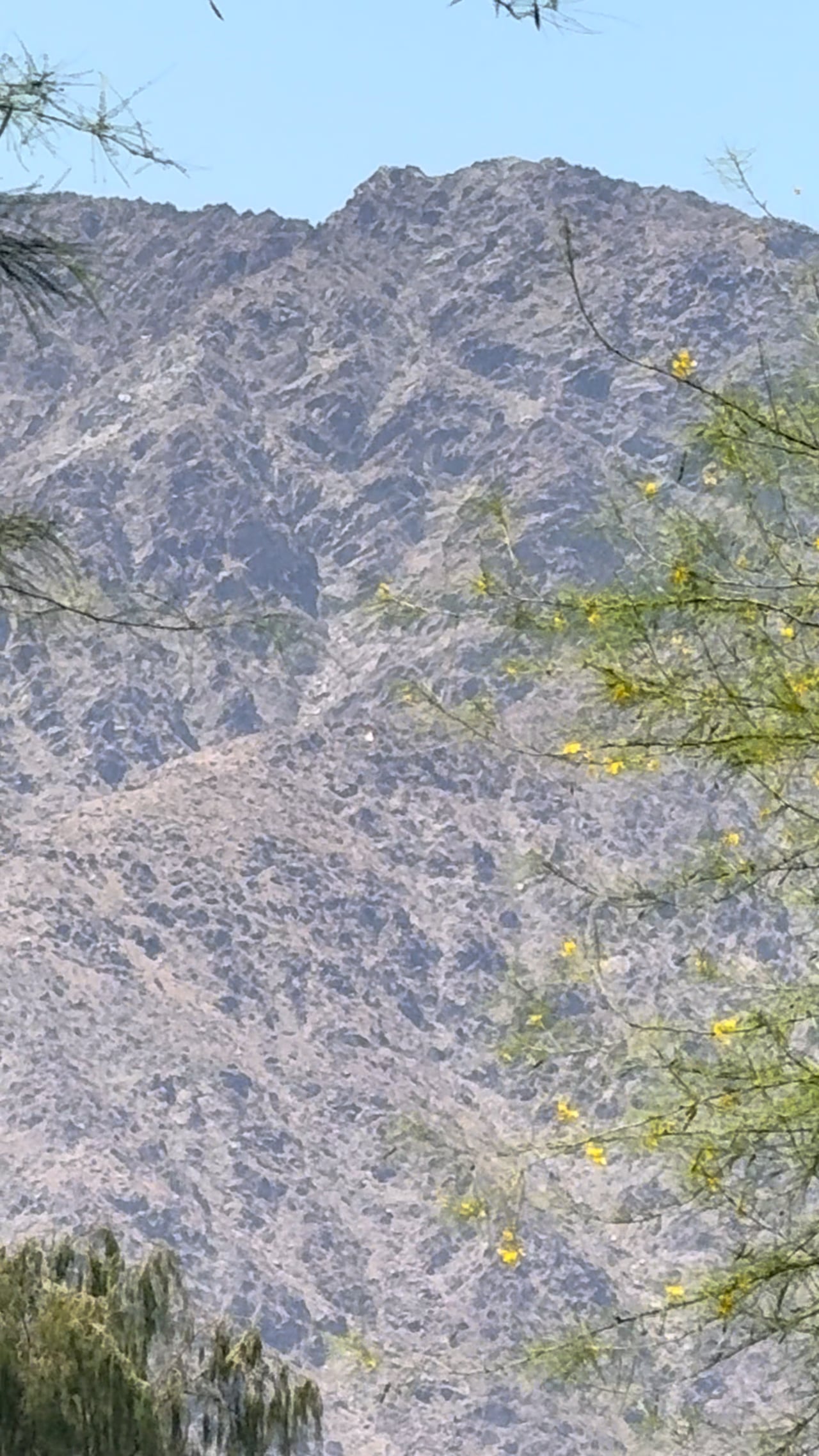 Preview of the original recording from Citrus Golf Course, La Quinta, May 16, 2025 · 1:37 p.m..
