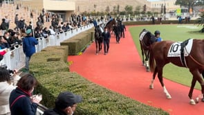 動画サムネイル