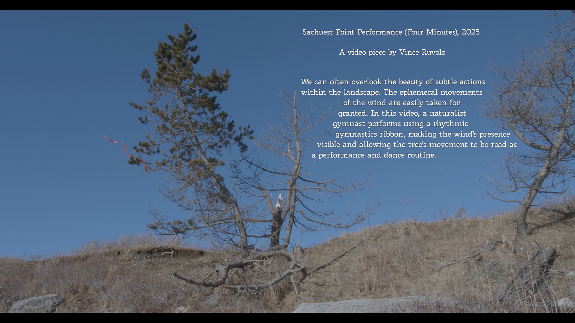 Sachuest Point Performance  (Four Minutes), 2025