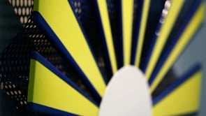 Vignette de la vidéo