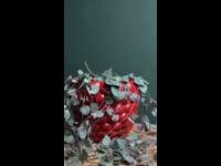 ceropegia woodii m + bubble pot