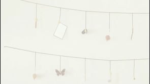 Vignette de la vidéo