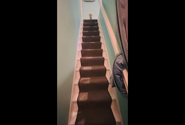 Beautiful Double Ensuite in Calm, Friendly Home Main Photo