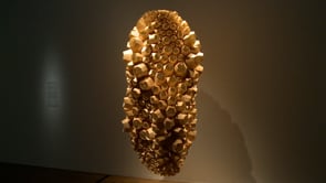 Vignette de la vidéo