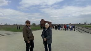 Video 6