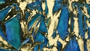 Vignette de la vidéo