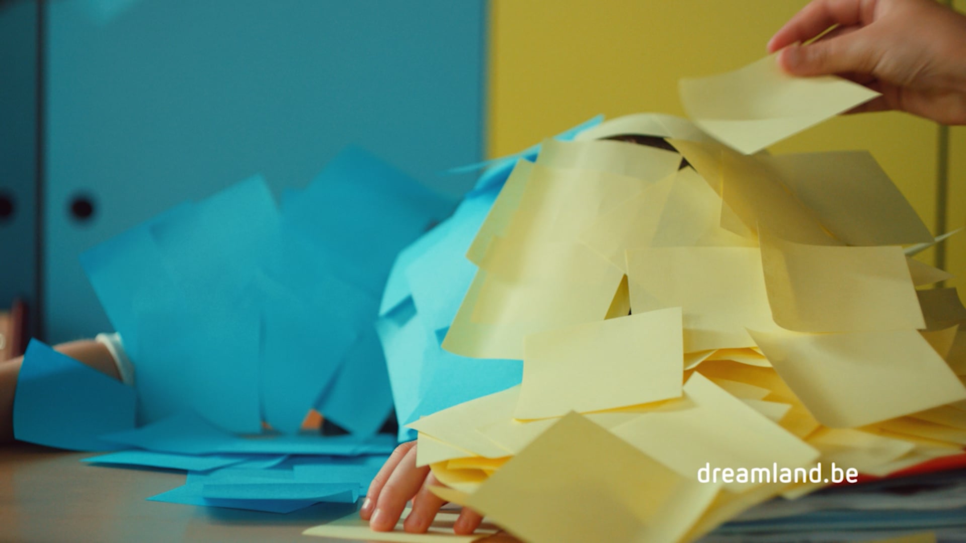 DREAMLAND // BACK TO SCHOOL