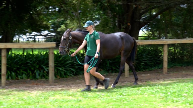 Lot 104