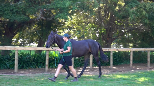 Lot 28