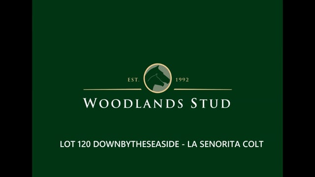 Lot 120