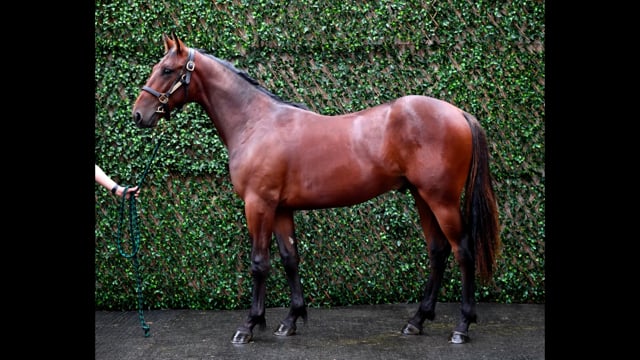 Lot 98