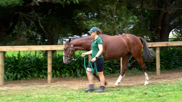 Lot 14
