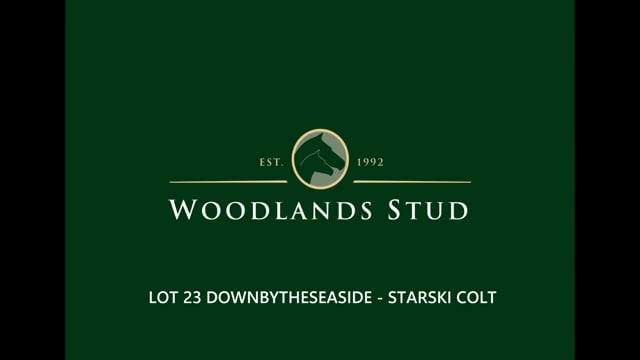 Lot 23