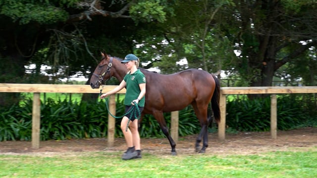 Lot 131