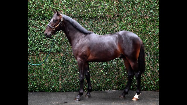Lot 123