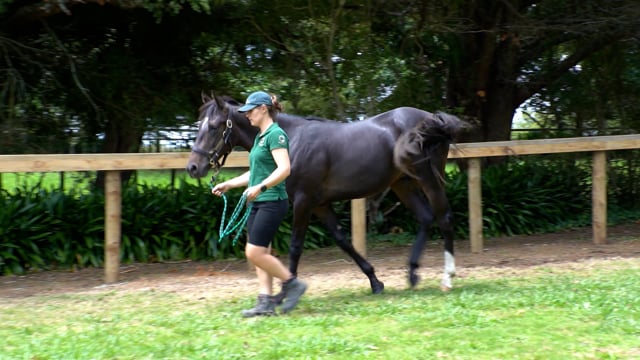 Lot 40