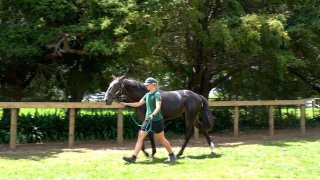 Lot 64