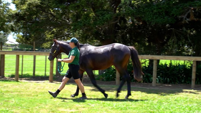 Lot 91