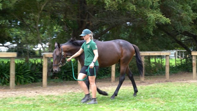 Lot 46